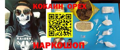 шишки Заволжье