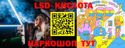 шишки Заволжье