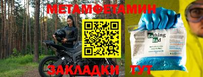 шишки Заволжье