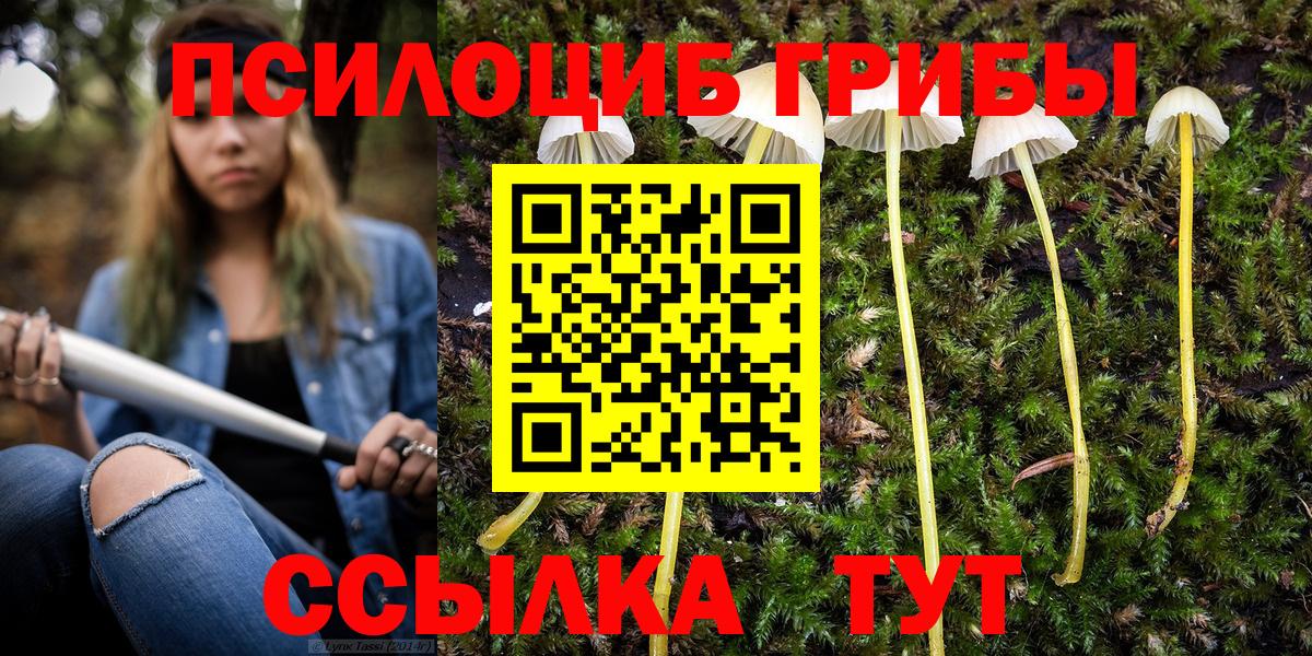 Глазов  хочу наркоту  Вход с VPN  Псилоцибиновые грибы Cubensis  Псилоцибиновые грибы прущие грибы 