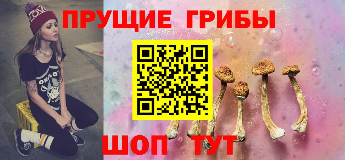 Галлюциногенные грибы Psilocybine cubensis Глазов