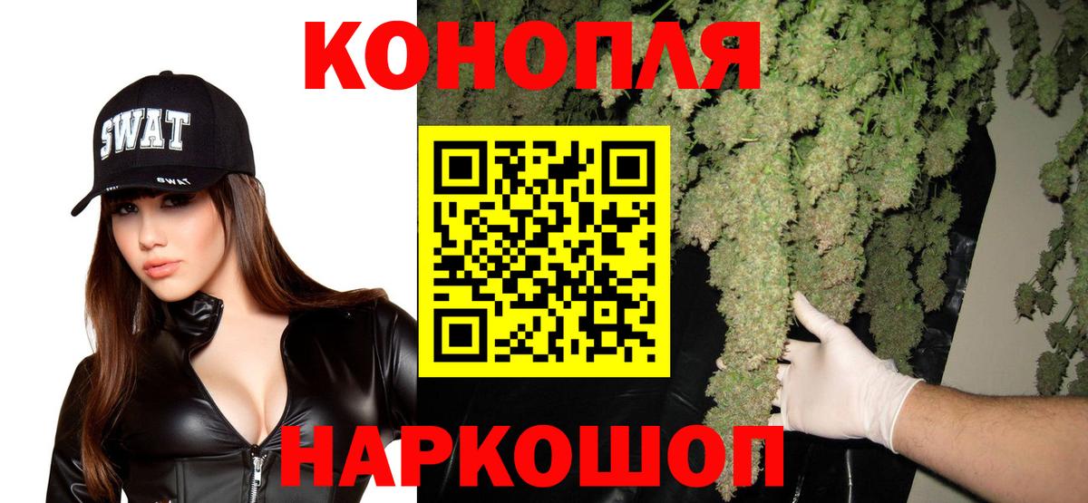 Конопля сатива Глазов
